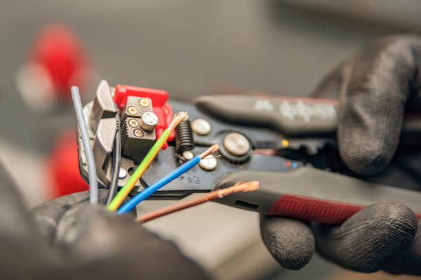 Best Electrician for Home Renovation  in Orange Grove, TX