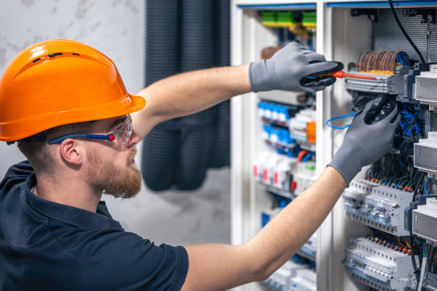 Best Residential Electrician Services  in Orange Grove, TX